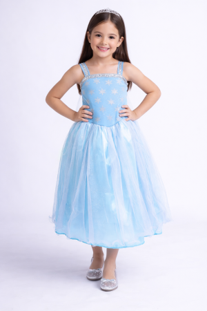 vestido Princesa Frozen